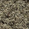 Frontier Bulk Red Raspberry Leaf, Cut and Sifted, Organic, 1 lb. Package - 2pc