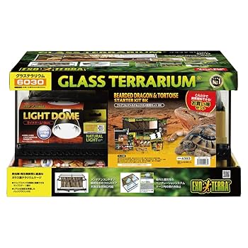 爬虫類ケージ 70×30×30㎝ リクガメ フトアゴ ゲージ Amazon | GEX EXOTERRA フトアゴヒゲトカゲ&リクガメ飼育キット