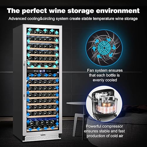 Vista 20 de Tylza Refrigerador de vino de doble zona, refrigerador de vino y bebidas de 24 pulgadas integrado o independiente, nevera de cerveza de vino debajo