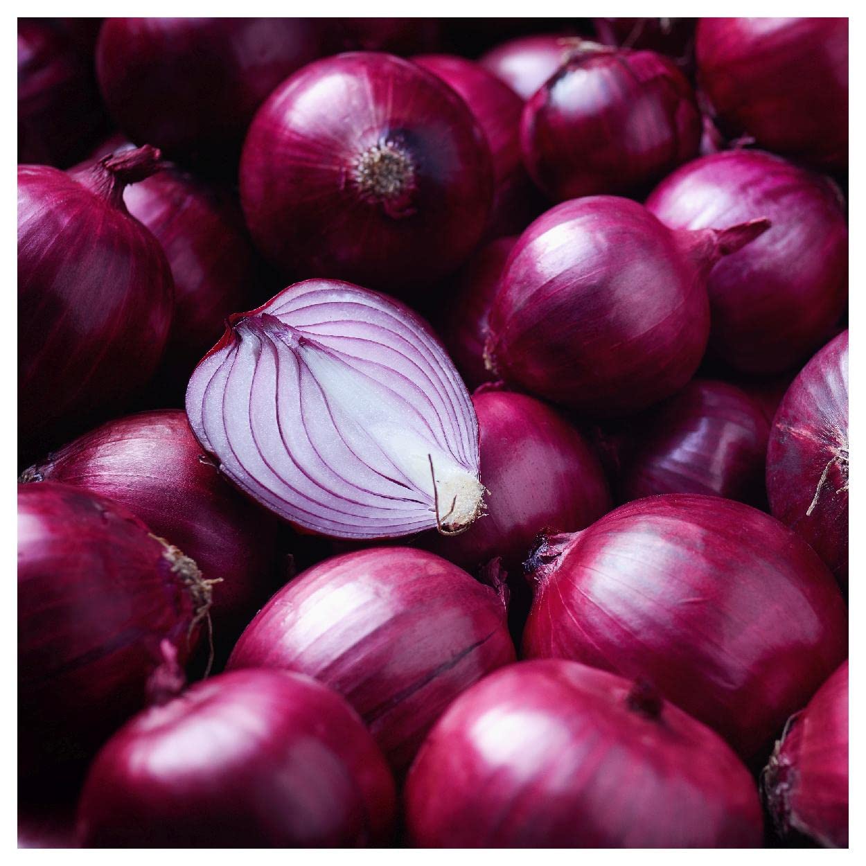 Texas Early Grano Onion Seeds | Sweet Short Day Variety – Sow Right Seeds