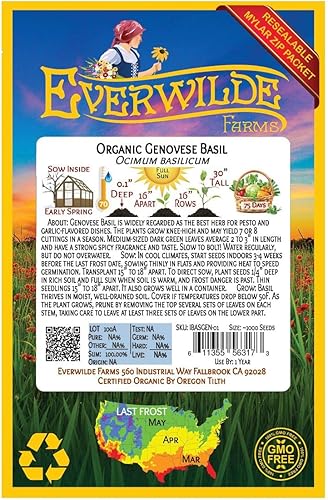 Miniatura 2 de Everwilde Farms - 1000 semillas de hierba de albahaca genovesa orgánica - Paquete Gold Vault