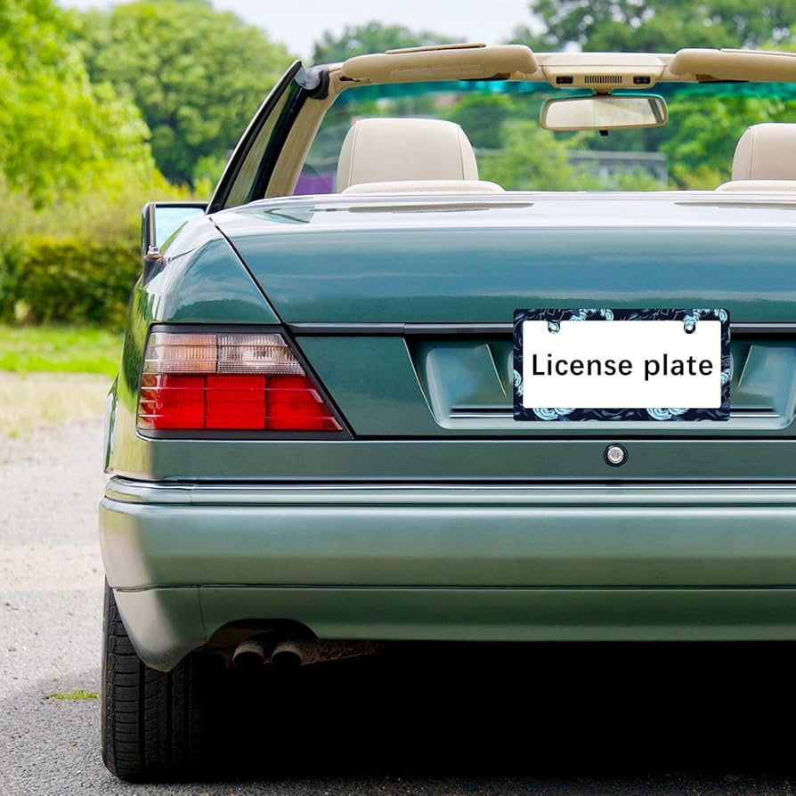 Amazon.co.jp: ナンバーフレーム サーフィン 前後2枚セット PC