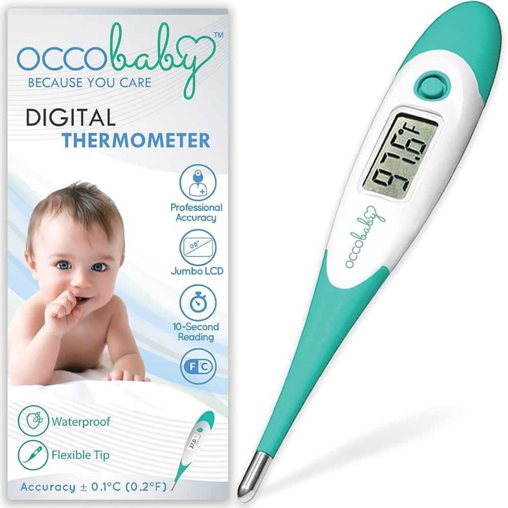 Professional Digital Thermometer