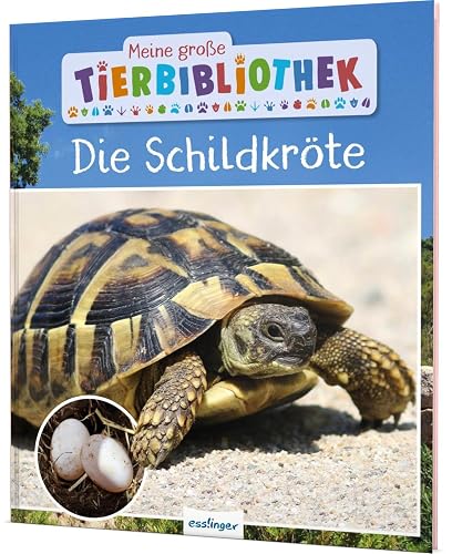 Meine große Tierbibliothek: Die Schildkröte: Sachbuch für Vorschule &amp; Grundschule
