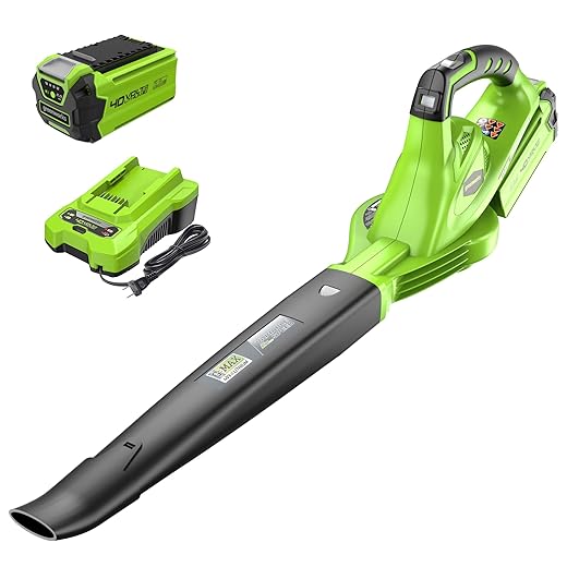 Greenworks 40V (150 MPH) Cordless Leaf Blower, 2.0Ah Battery and Charger Included 24252