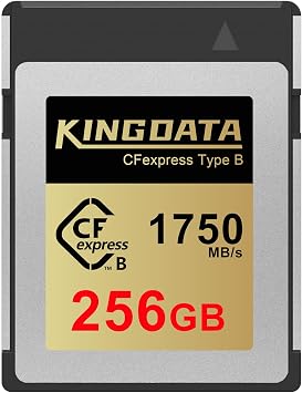 CFexpress Type B 256GB Memory Card, Up to 1750MB/s Read, RAW 8K Video and Photo, Memory Cards for Camera, Professional Photography