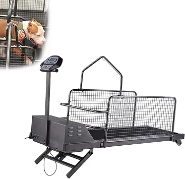 Dog Treadmill, Pet Running Machine for Large Medium Sized Dogs, Dogs Indoor Exercise with Slope Adjustment and Display Screen, Load-Bearing 220 LBS