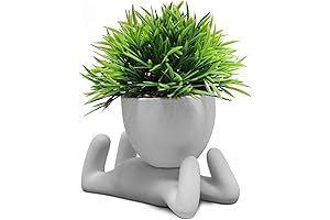  Zerzy Faux Succulents in Cement Pots