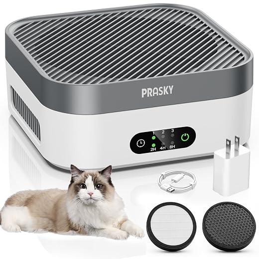 Air Purifiers for Home, 2 Filter, Plug-in, Quiet H13 True HEPA Purifier Car