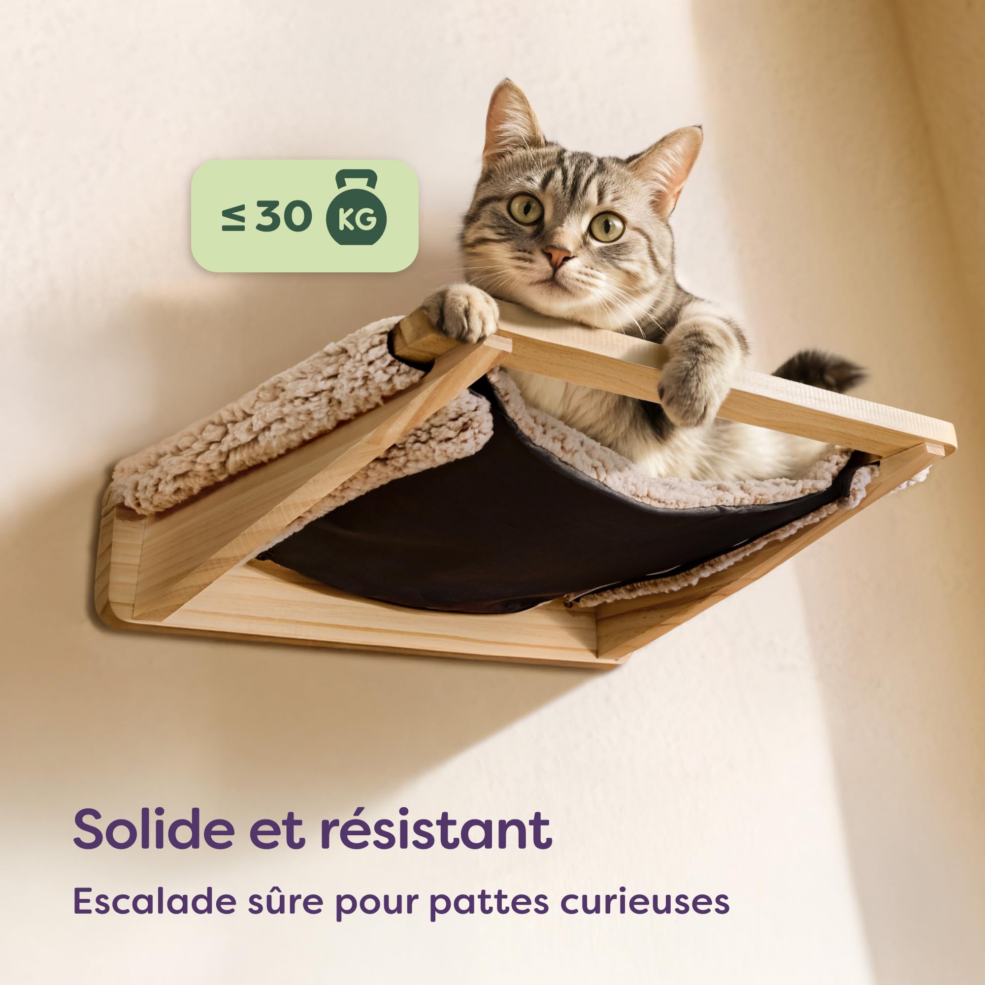Knupis Étagère Murale Chat avec Hamac & 2X Escaliers – Bois de Pin Massif FSC®, Couchage Mural Solide Jusqu’à 30 kg – pour Jeu & Confort - Beige