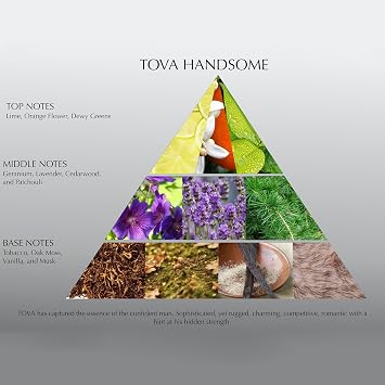 Tova Handsome 3.4 Cologne Spray+Body Wash-Duo