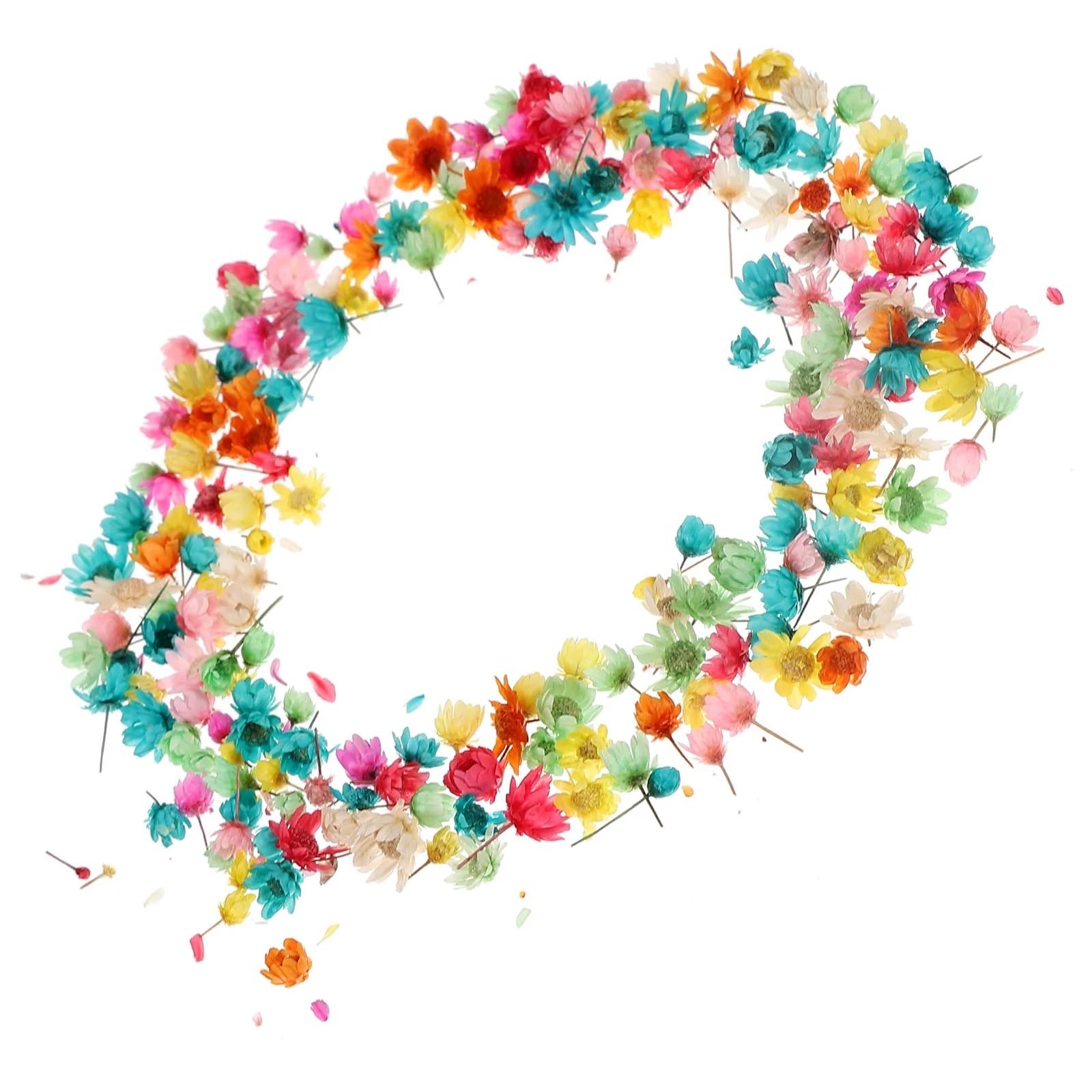 Fiori secchi pressati, Fiori pressati essiccati 1 Sacchetto di Fiori secchi Fai da Te Artigianato epossidico for Realizzare Fiori secchi for Realizzare Fiori secchi, Petali secchi Naturali