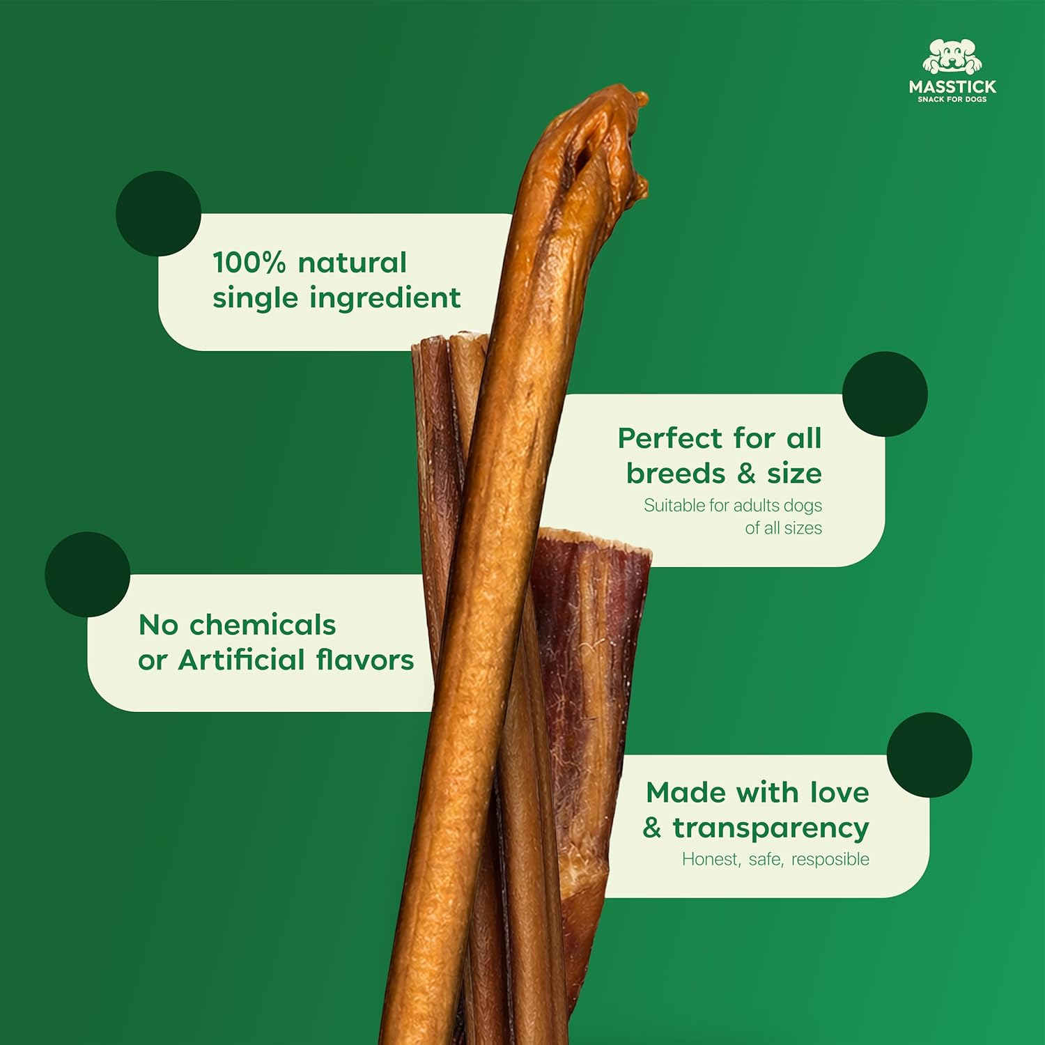 MASSTICK Normal Bully Sticks for Dogs 12 Inch – Thick Minimal Odor Beef Dog Chews – Fully Digestible Chew Sticks for Medium, Large & Extra Large Dogs – 8oz