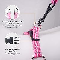 Vista 21 de BEAUTYZOO No Pull Dog Harness and Leash Set - Adjustable Step-in Puppy Harness for Small Medium Large Dogs, Escape Proof Soft Nylon Vest with Double