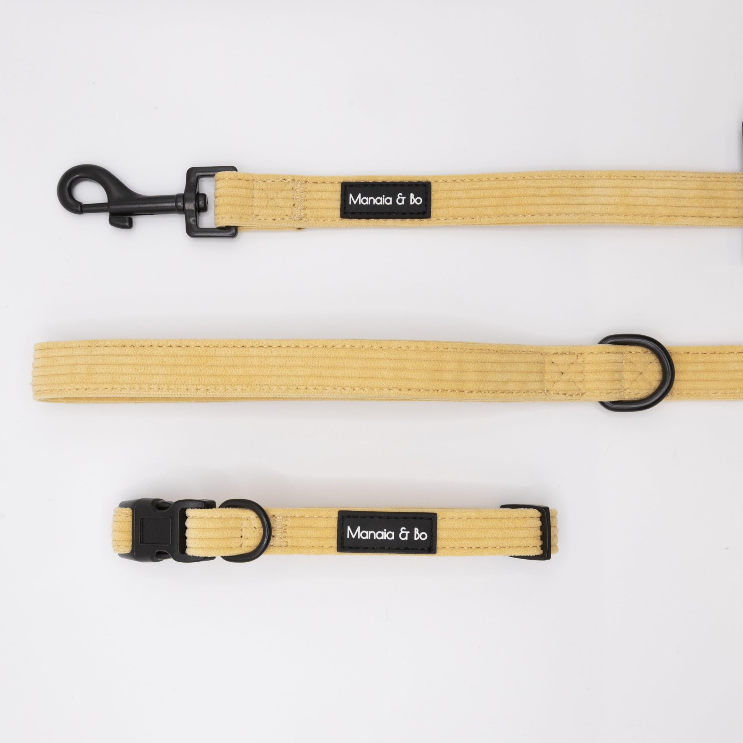 Premium Quality Adjustable Mellow Cord Dog Collar with 1.5m x 2cm Fixed Length Lead/Leash | Neck: 33-51cm (Medium, Collar & Lead) — image 1