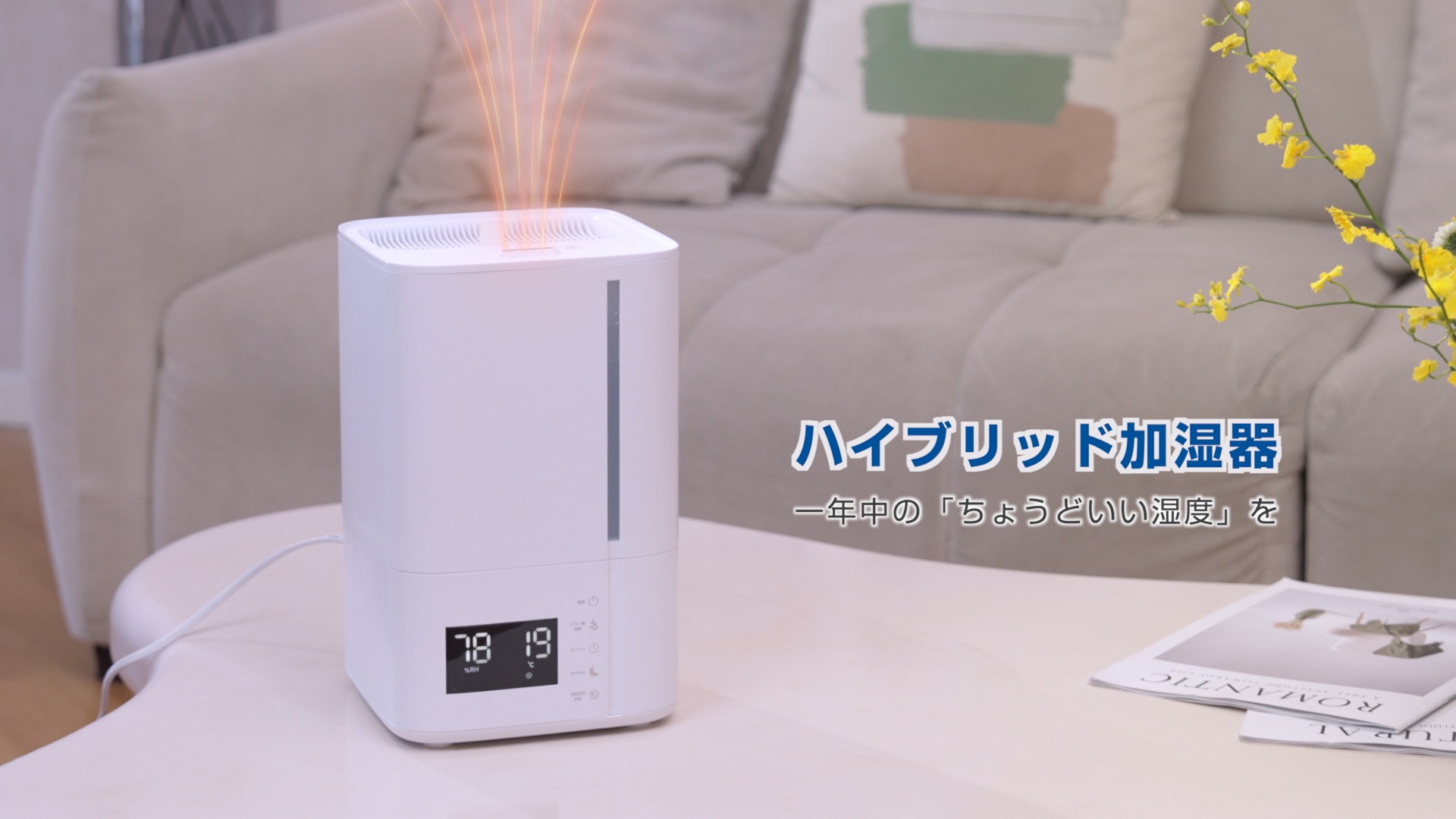 Amazon.co.jp: Humidifier, Steam Type X Ultrasonic Type, Hybrid