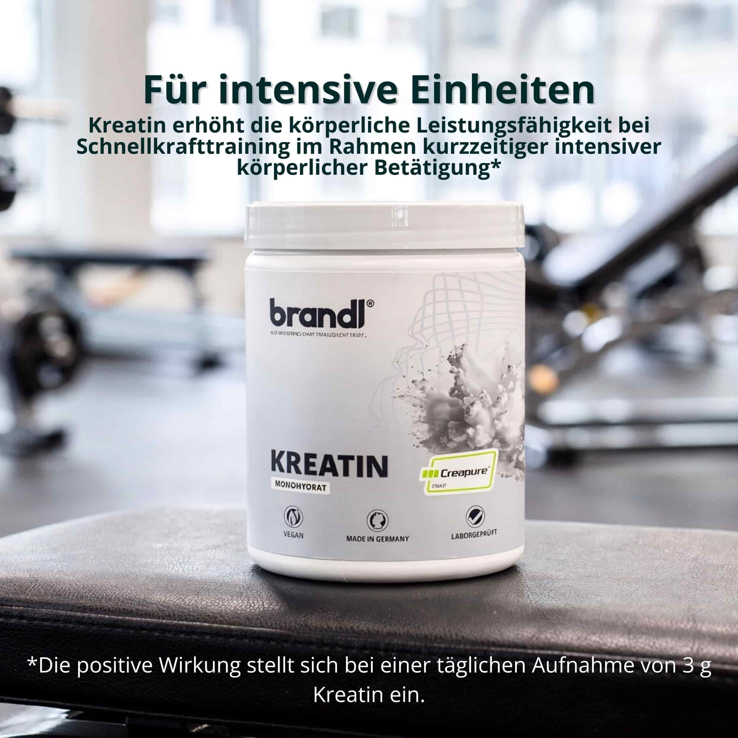 Kreatin Pulver Monohydrat CREAPURE 500g – 100% made in Germany – vegan, perfekte Löslichkeit & unabhängig laborgeprüft – Creatin/Kreatinpulver für Männer & Frauen ohne Zusatzstoffe von brandl