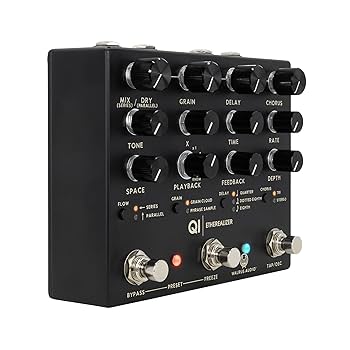 Amazon.com: Walrus Audio Qi Etherealizer, Black