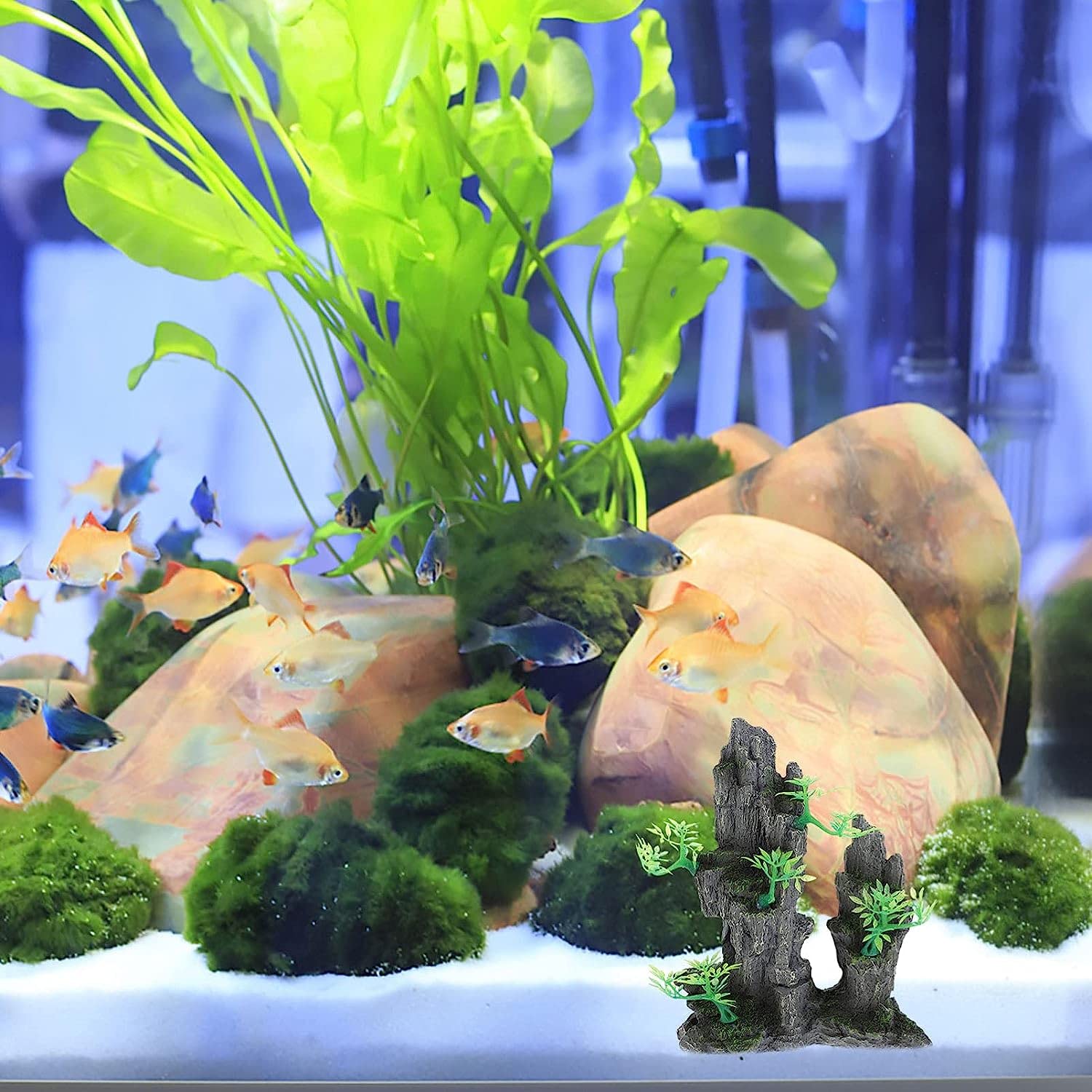 Aquarium decoratie steen met mos - webwinkel in visartikelen
