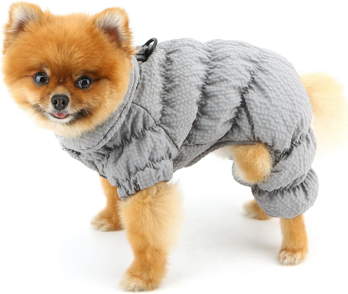 SMALLLEE_LUCKY_STORE Fleece Lined Pet Coat Waterproof Sport Winter Jacket with Harness D-Ring for Small Dog Cat Reflective Jumpsuit Puppy Padded Chihuahua Yorkie Warm Clothes, Gray, XXL