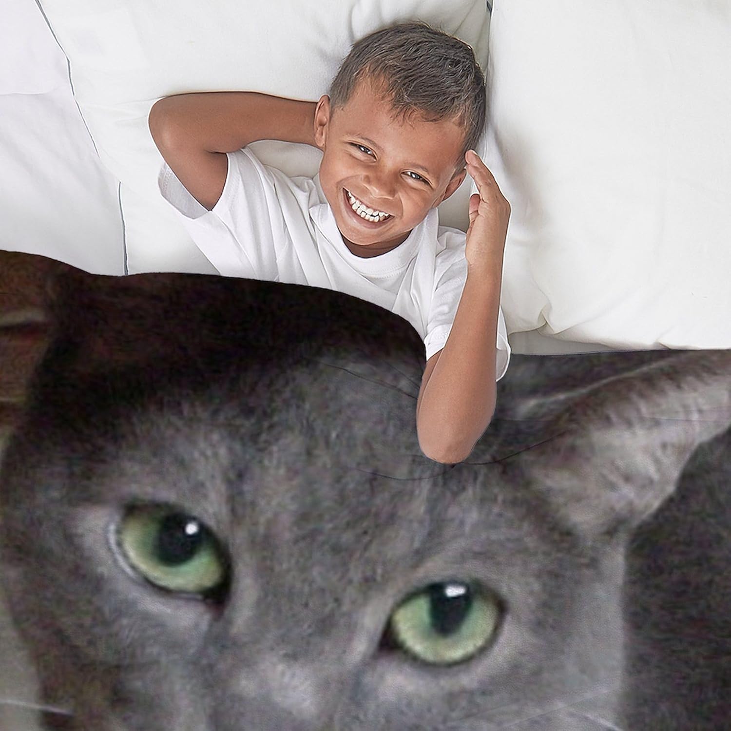 CafePress Russian Blue Gray Cat Throw Blanket Super Soft Fleece Plush Throw Blanket, 60"x50"