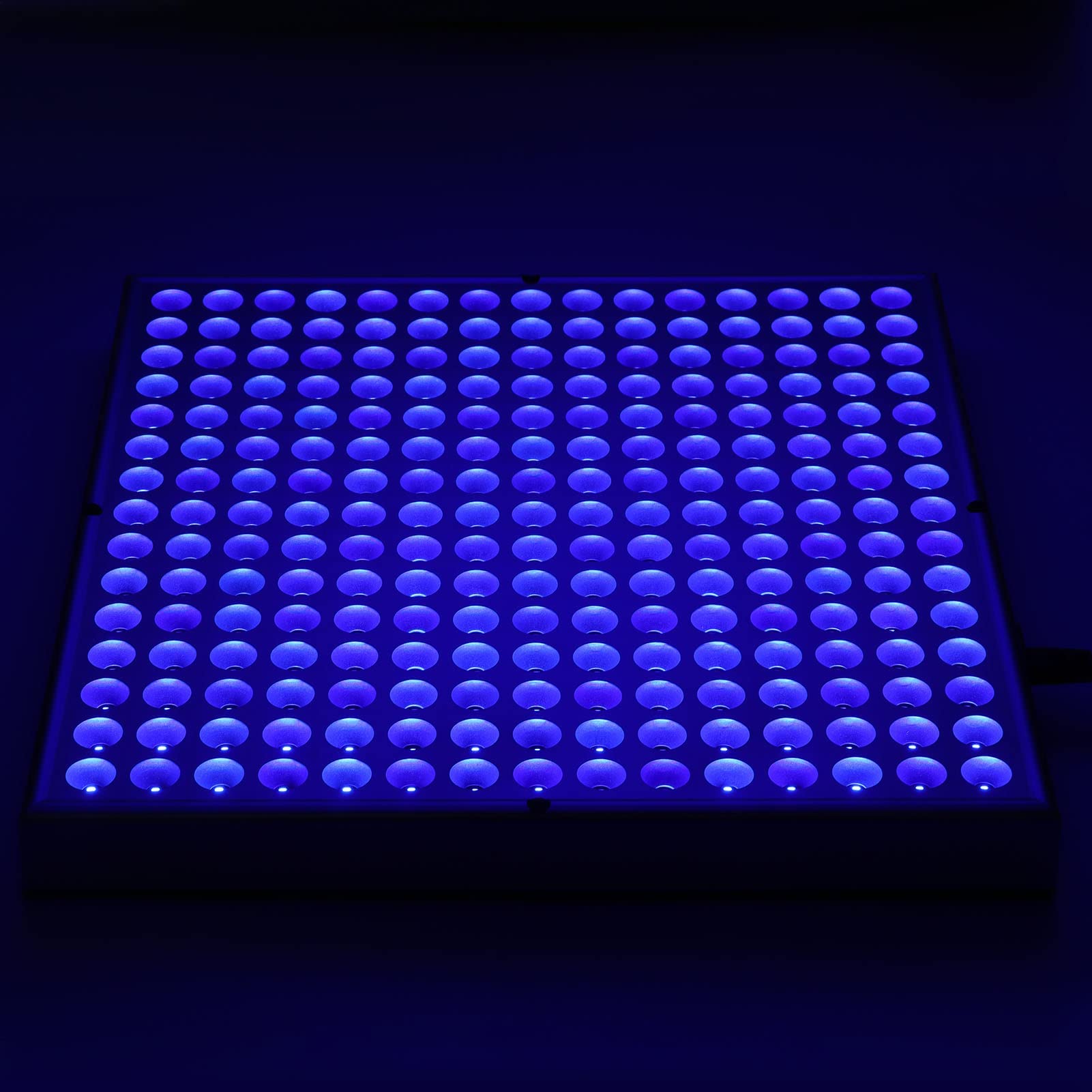 Hozee Lichttherapielampe, Praktische Blaulichttherapielampe, Home Beauty LED-Energielampe Zur Heilung von Baby-Gelbsucht/Akne-Behandlung, 110-240V(EU)