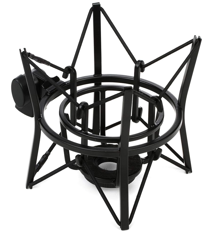 Amazon.co.jp: 【国内正規品】RODE ロード PSM1 マイク用