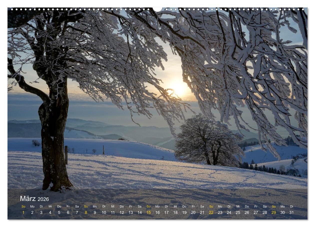Faszination Schwarzwald (hochwertiger Premium Wandkalender 2026 DIN A2 quer), Kunstdruck in Hochglanz: Sehnsuchtsorte im Schwarzwald neu entdeckt (CALVENDO Orte)