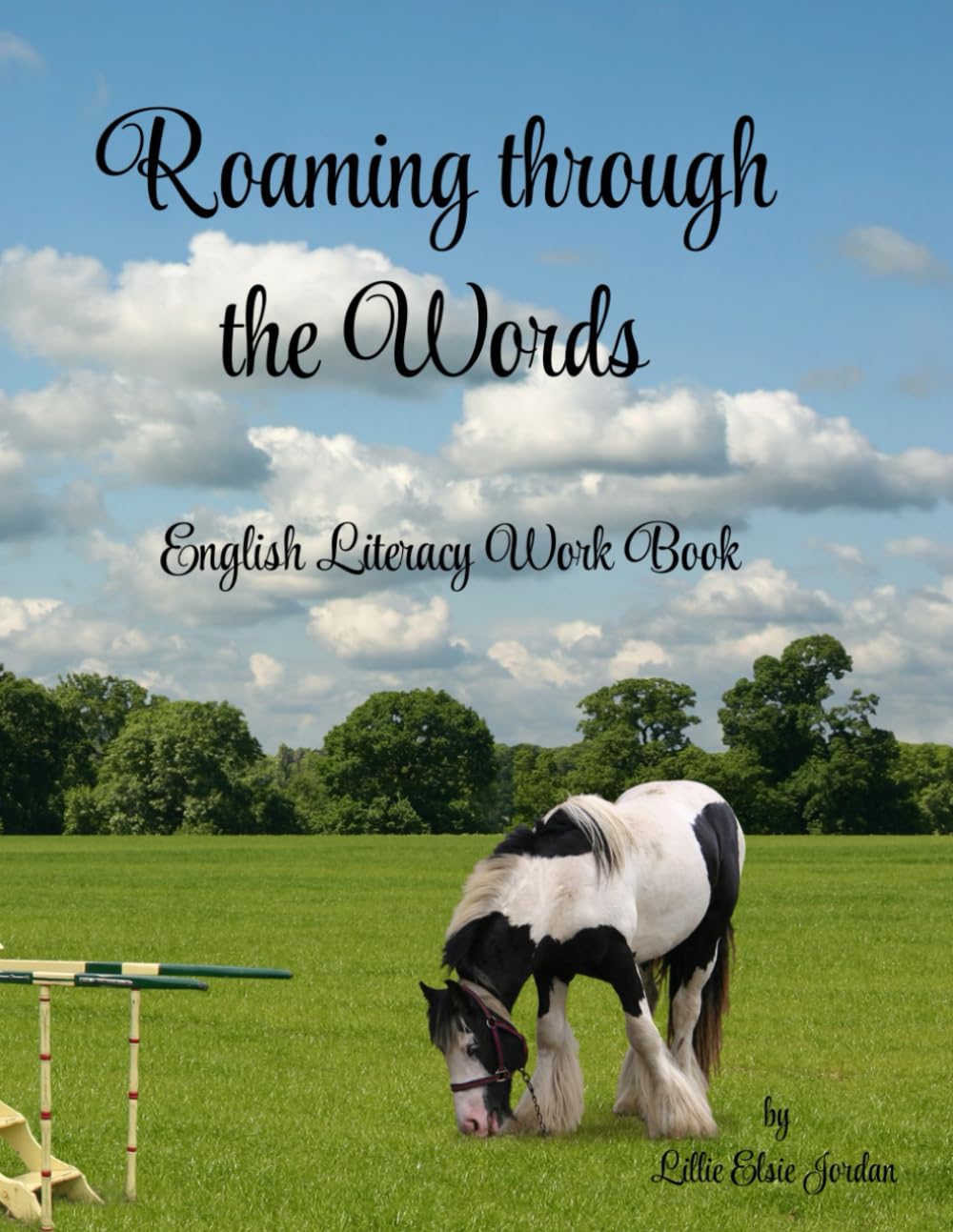Roaming through the Words: English Literacy Book (Gypsy , Roma & Traveller Education Resource)
