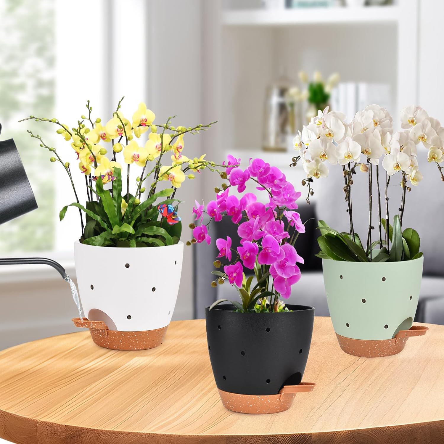 Vanslogreen 6 Inch Orchid Pots with Holes, 3 Pack Self Watering Planters for Orchids Plastic Orchid Pot Plant Flower Pots for Orchids Indoor Outdoor (Multicolor)