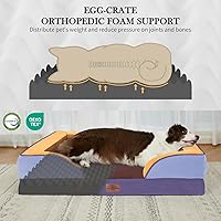 Vista 392 de Comfort Expression - Cama ortopédica para perros extragrandes, 53 x 42 pulgadas, cama impermeable y de apoyo de espuma con cojines removibles