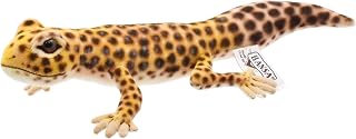 BH8140 HANSA ヒョウモントカゲモドキ ２６