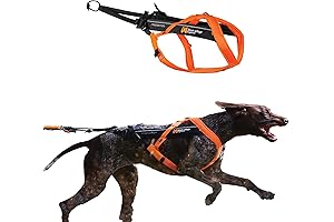 Non-stop dogwear Freemotion 5.0 - Professional Canicross Harness for Dogs to Excel in Sports