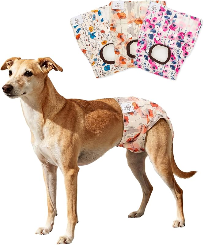 Fralda Lavável para Cadelas CuteBone com Ajuste de Cauda e Forro Absorvente, Pacote com 3