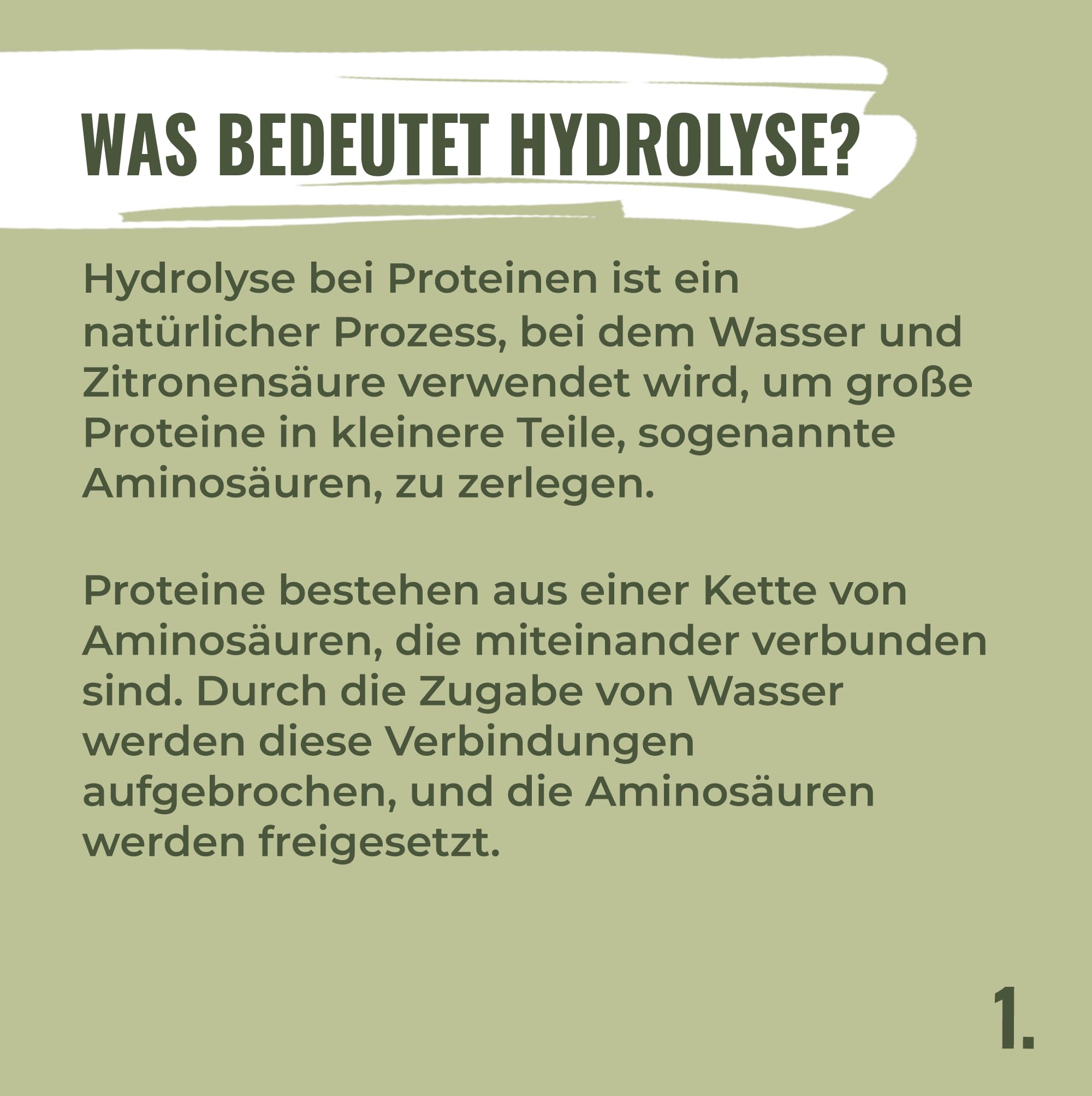 HANS Brainfood 90% Bio ULTRA fermentiertes Erbsenprotein Pulver cremig 1kg neutral - Veganes Proteinpulver cremig Mit Optimalem Aminosäurenprofil & Gut löslich - Bio Protein Pulver (1000g)