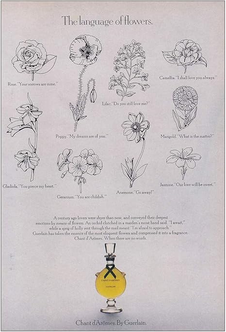 Amazon Relicpaper 1969 Chant D Aromes 花言葉 ゲレン香水プリント広告 アートワーク ポスター オンライン通販