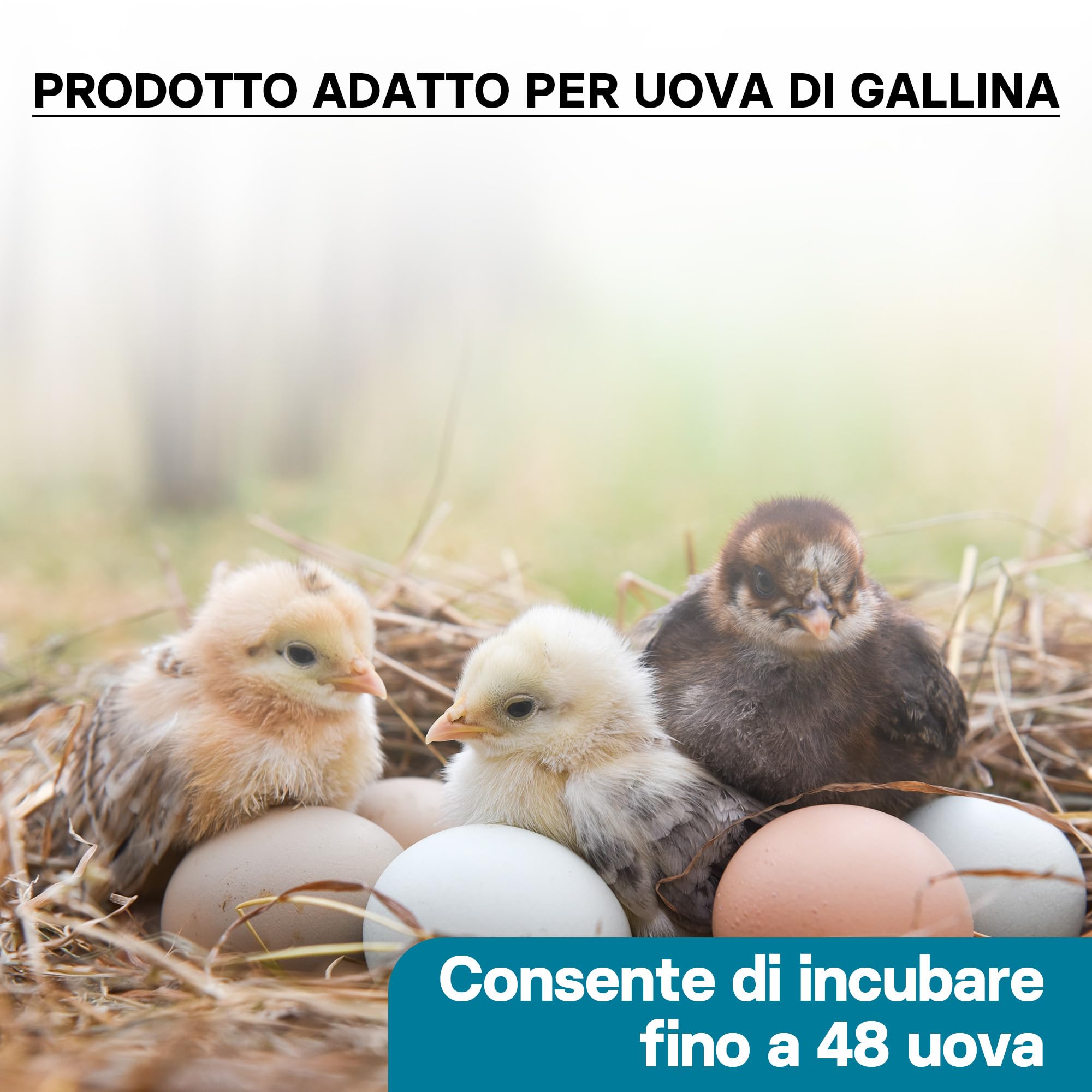Wiltec Incubatrice automatica per 48 uova, con regolazione temperatura e umidità, Covatrice