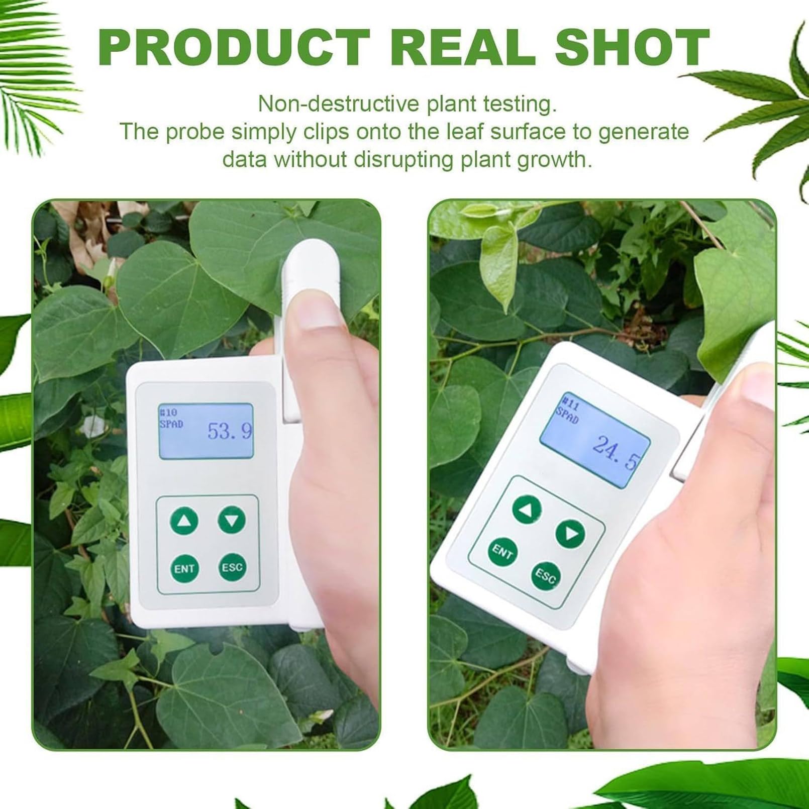 Compteur de chlorophylle portable pour tester les plantes, analyseur de chlorophylle, idéal pour les agriculteurs, les jardiniers et les scientifiques