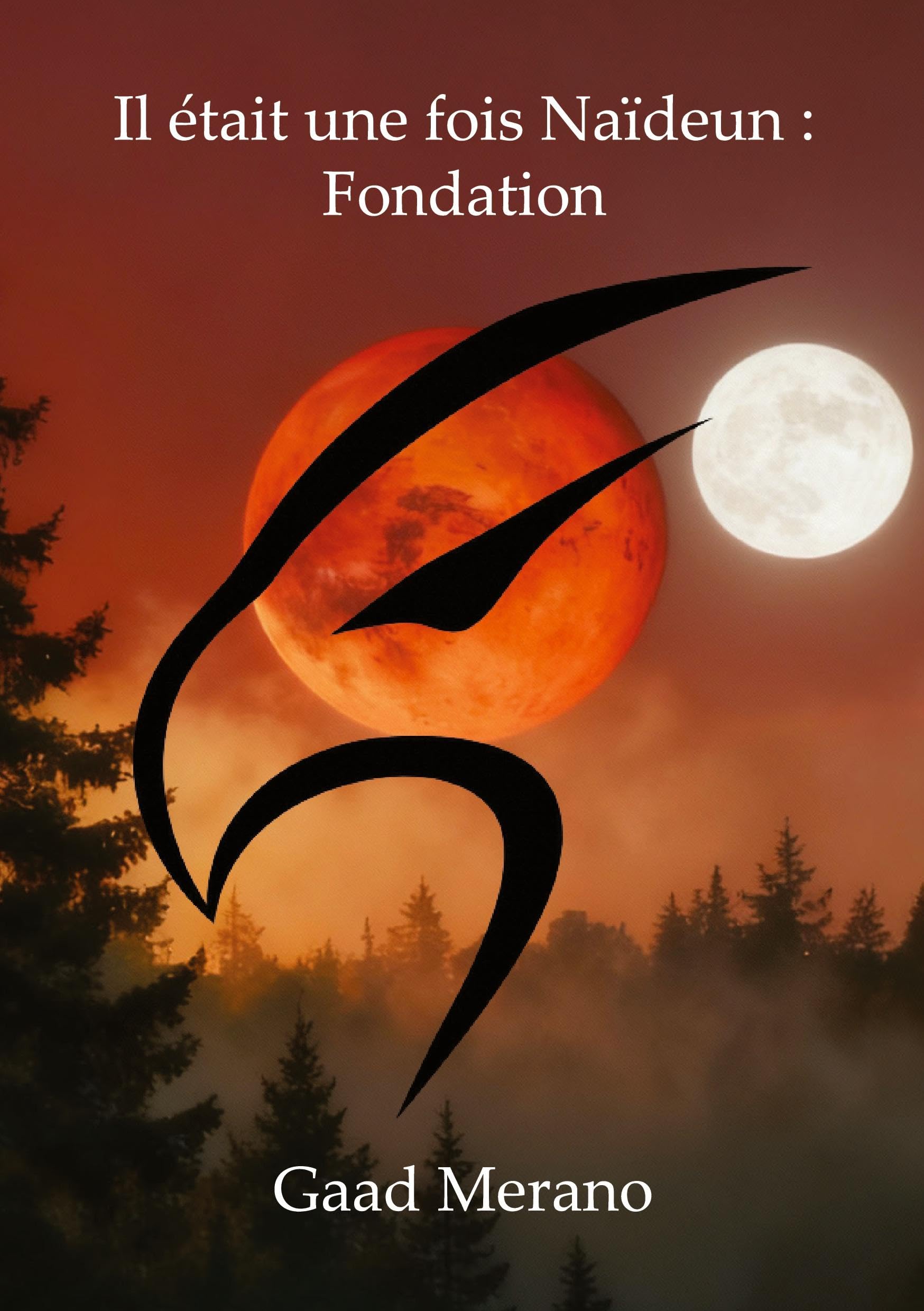Il était une fois Naïdeun: Fondation: Tome 1