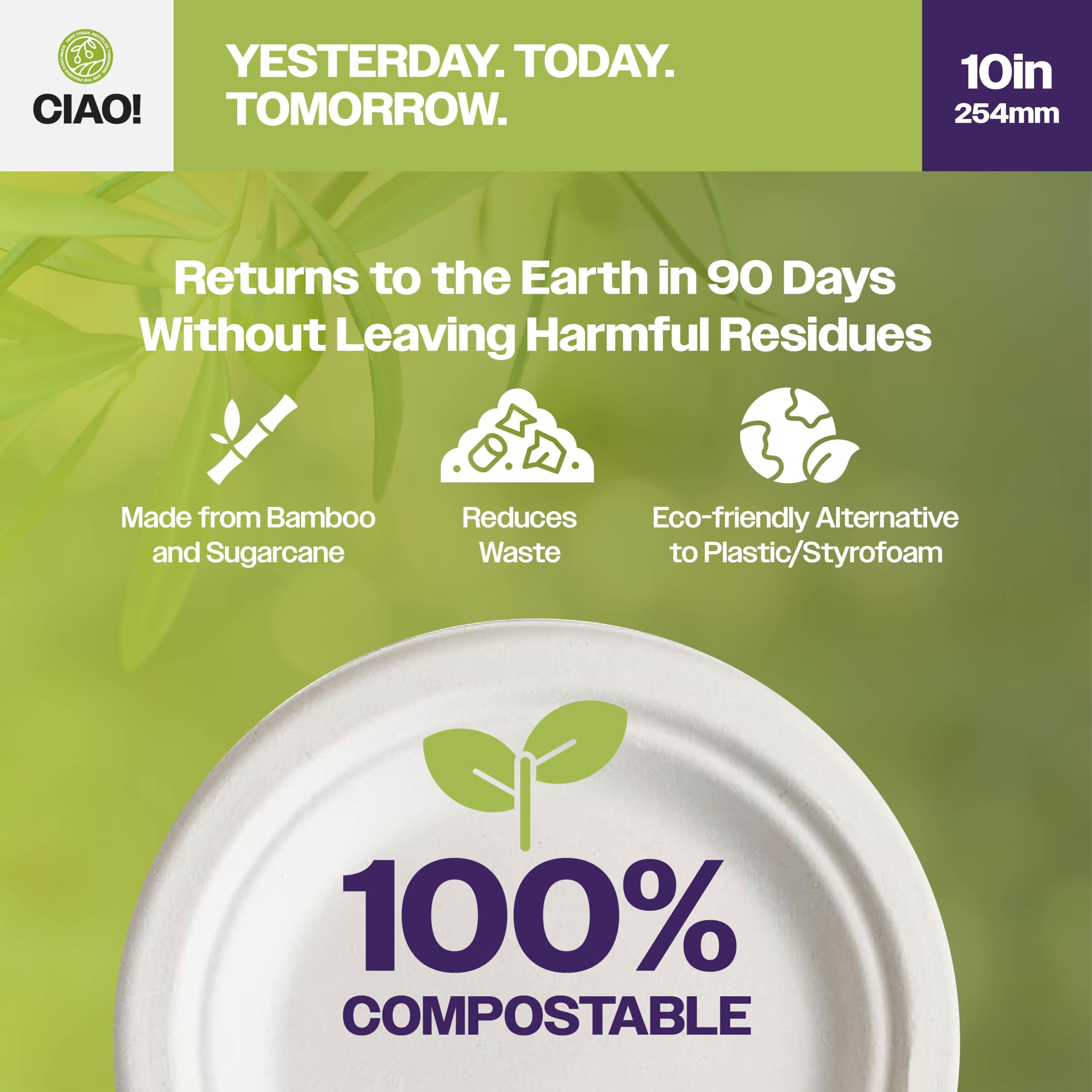 CIAO! Plato resistente de 25,4 cm, 100 % compostable, sin PFAS, bagazo sin blanquear, color blanco natural (paquete de 500)