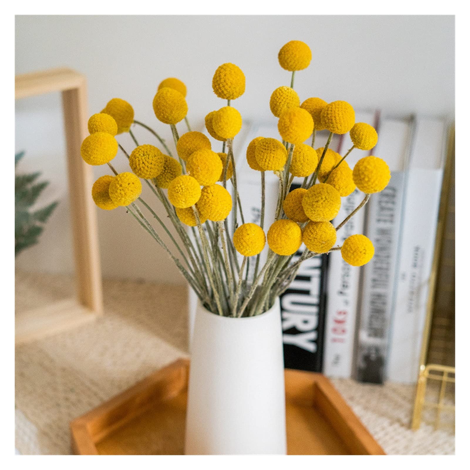 Mazzo Fiori Secchi Gialli Graootoly - Craspedia Naturale Per Decorazione