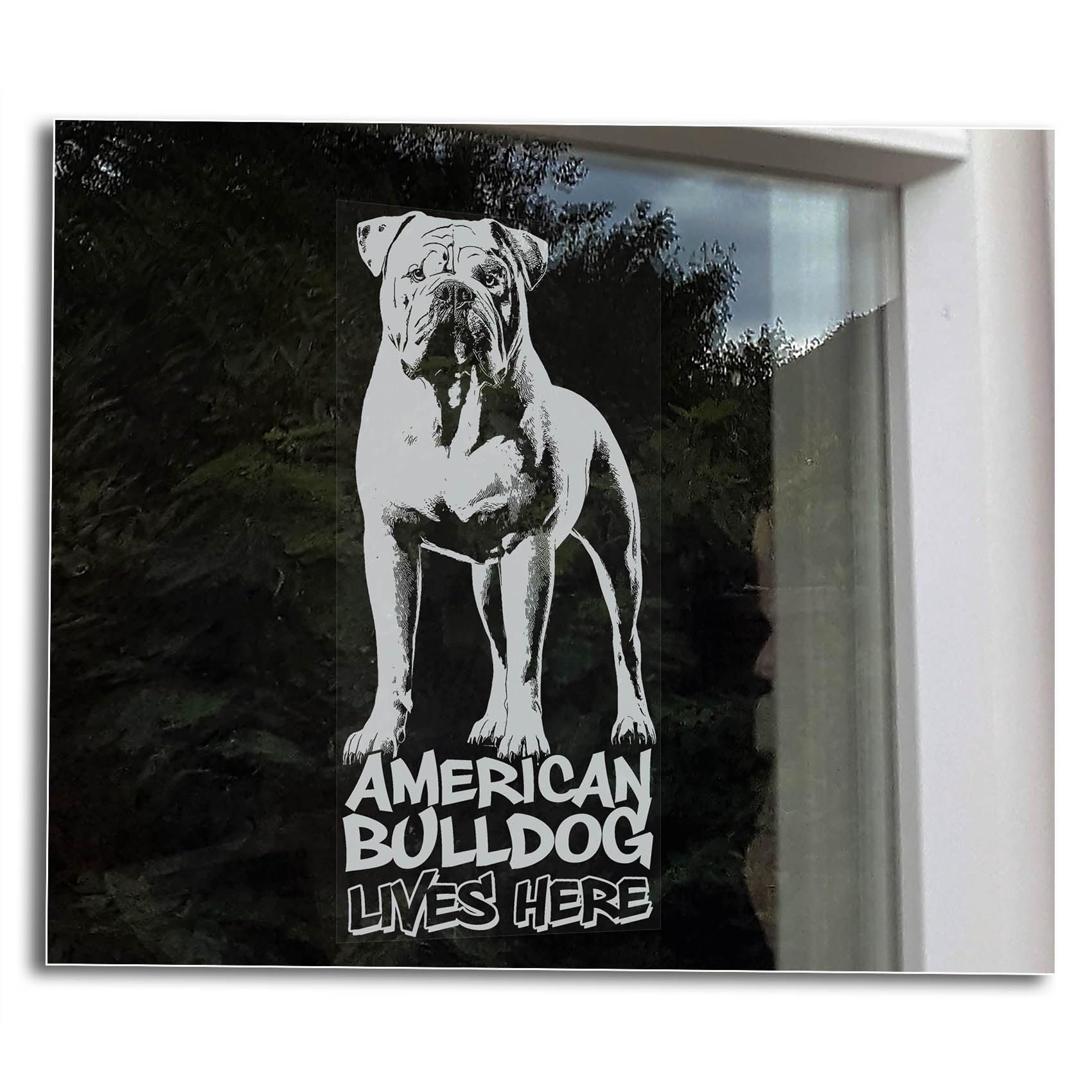 American Bulldog Lives Here | Home Security Window Sticker Warning Sign, Pet Dog Gift -V08 (External - White Print)