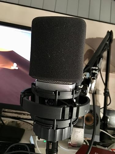 AKG C214 Cardioid Condenser XLR Microphones (Grey) : Amazon.in