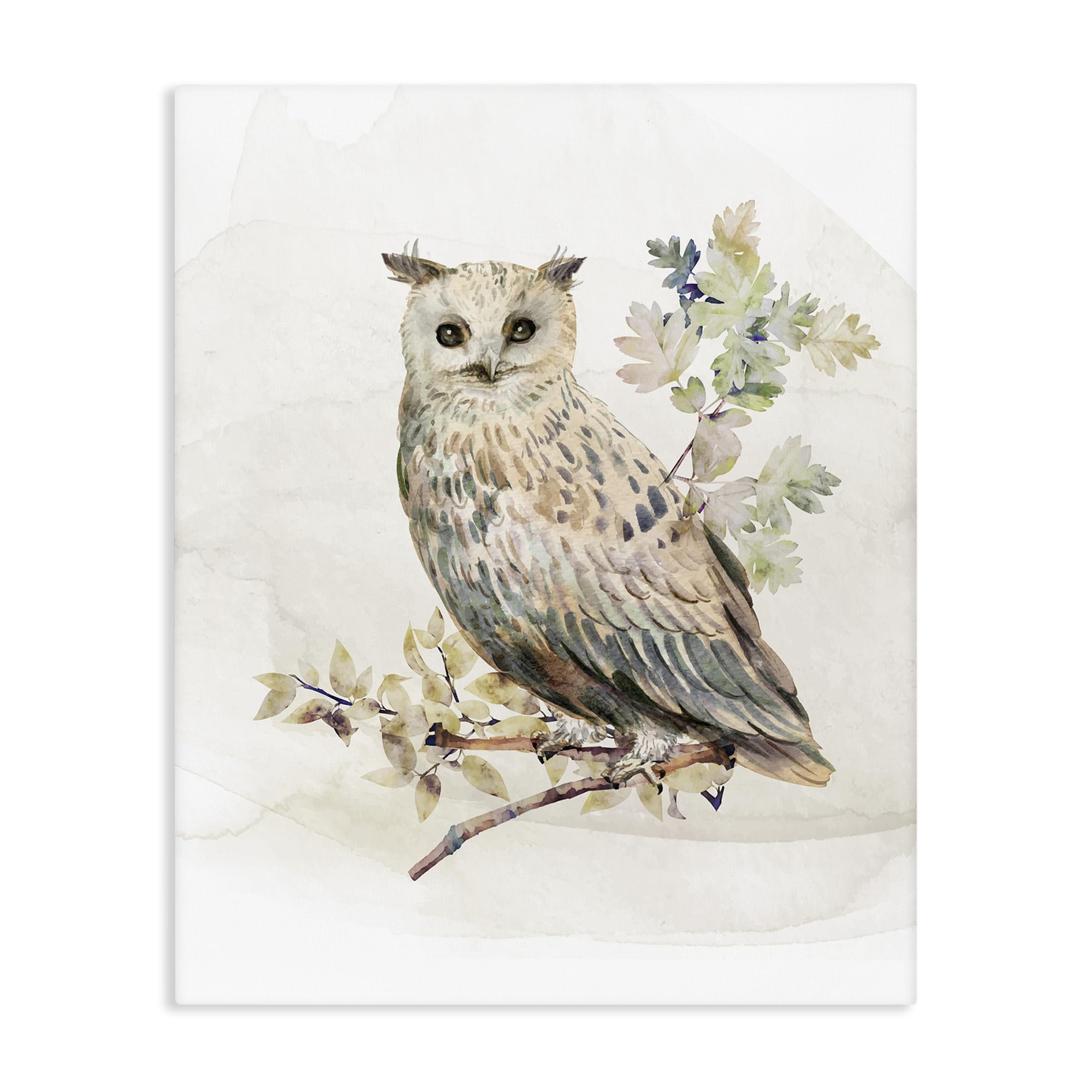 Stupell Industries 'Forest Owl with Foliage', Canvas Art, 16 x 20 Inches, Easy to Hang and Sturdy, Made in USA, by CAD Designs