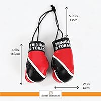 Vista 5 de SandT Collection Guantes de boxeo pequeños con bandera del país - Guantes de boxeo para colgar Trinidad y Tabago