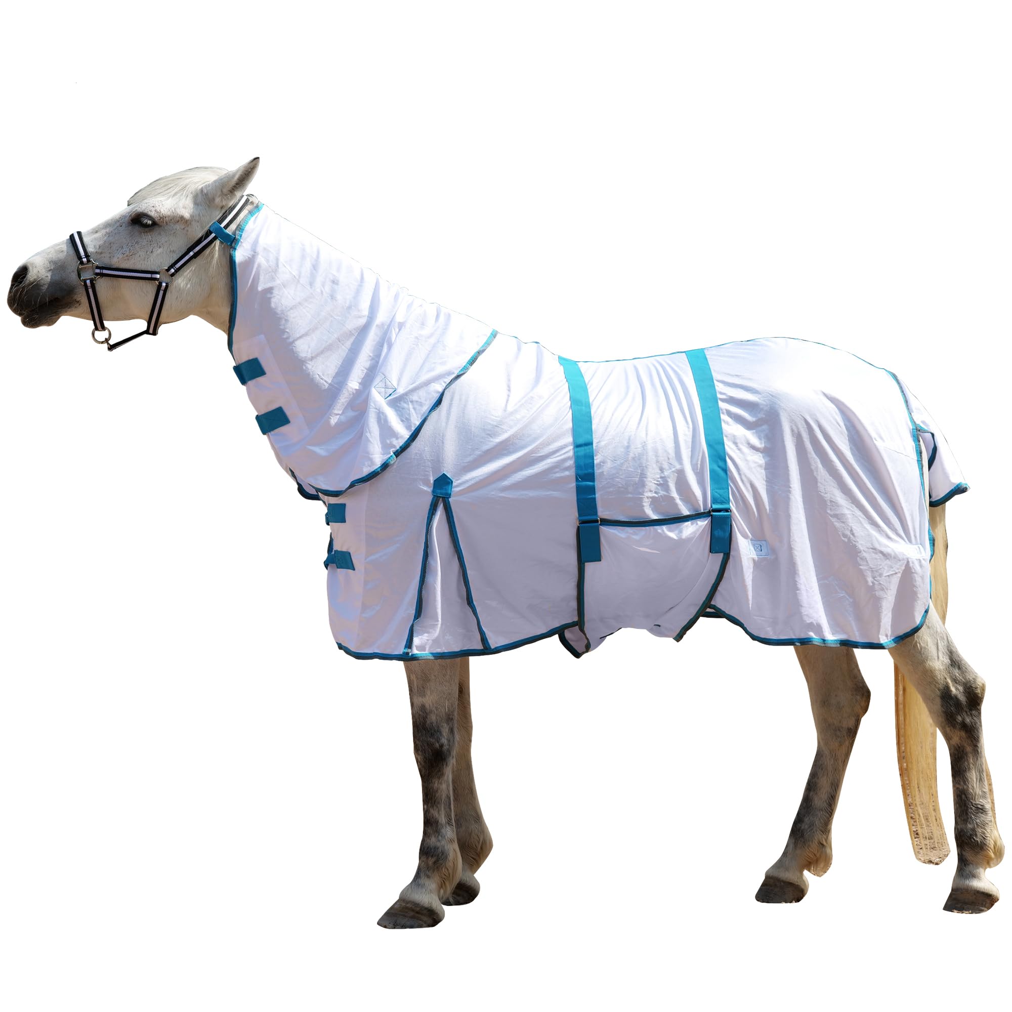 Gallopoff Fliegendecke Pferde mit Halsteil – atmungsaktive Sommerdecke mit UV-Schutz und Scheuerschutz, Verstellbarer Brustverschluss, Bauchgurte, Beinschnüre und Schweiflatz White 140 cm