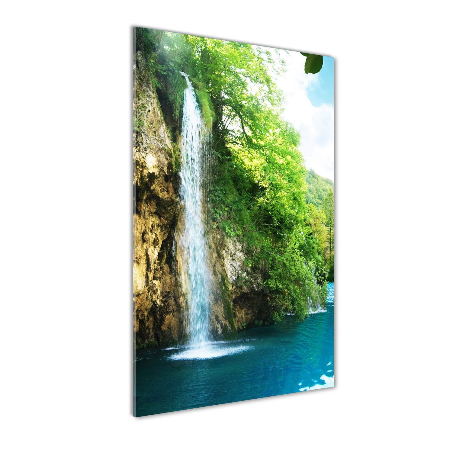 Chute d'eau dans la forêt Tableau en verre trempé 70x140 cm Tulup