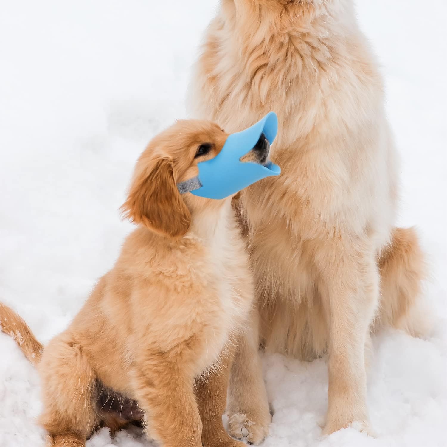 NACOCO Anti Bite Duck Mouth Shape Dog Mouth Covers Anti-Called Muzzle Masks Pet Mouth Set Bite-Proof Silicone Material (Blue, S) image 5