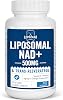 Liposomal NAD 500 mg Trans-Resveratrol 300 mg,Superior Absorption,True NAD Supplement Efficient Than NMN,Nicotinamide Riboside for Cellular Energy Metabolism & DNA Repair,Healthy Aging, 60 Softgels
