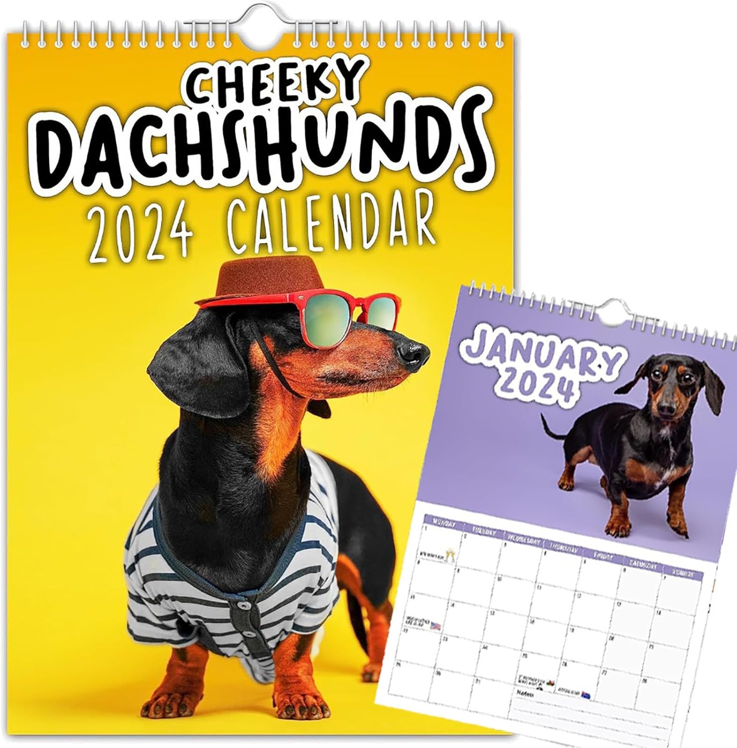 2024 Cheeky Dachshunds Calendar, 2024 Wall Calendar Funny